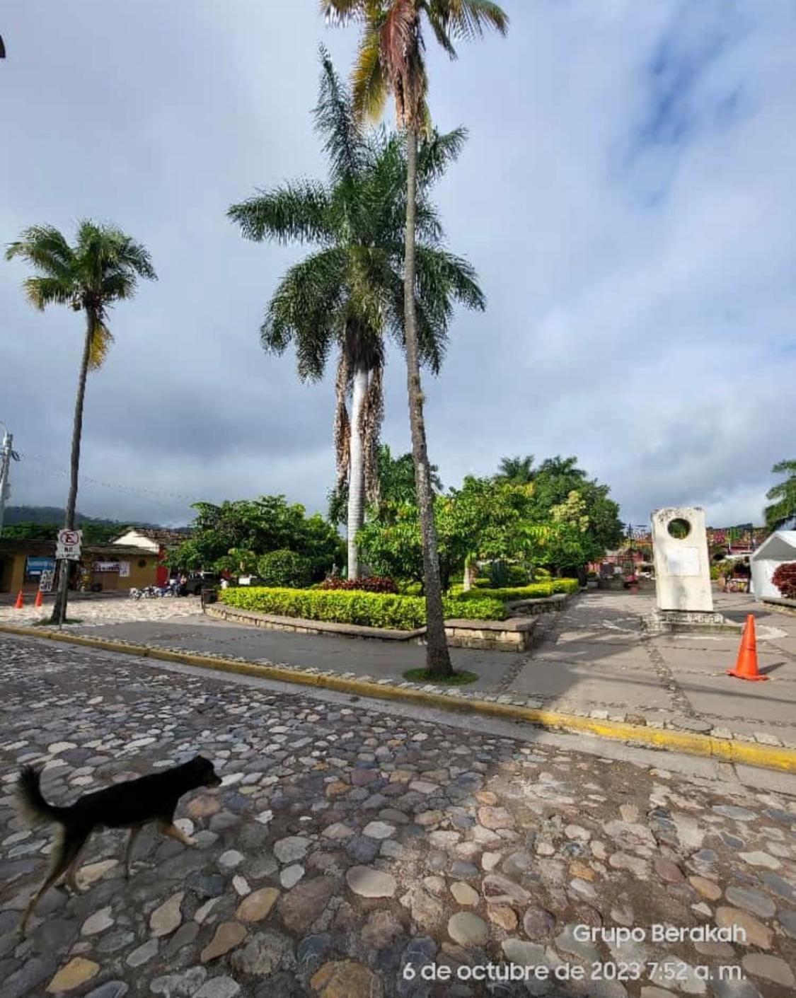 Stella Hostel Copán Dış mekan fotoğraf